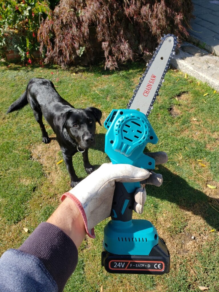 mini chainsaw safety equipment