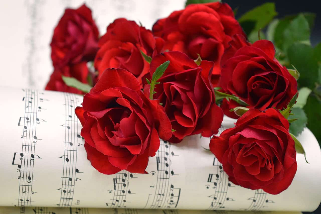 Wedding Budget Breakdown