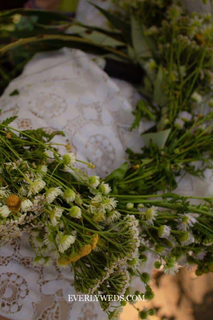 a close up of a plant