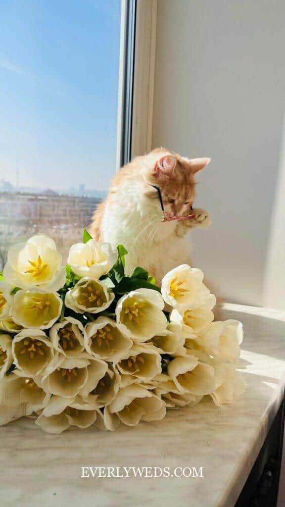 Orange and white cat with white tulips by window - creative wedding gift ideas for couples who love pets and flowers