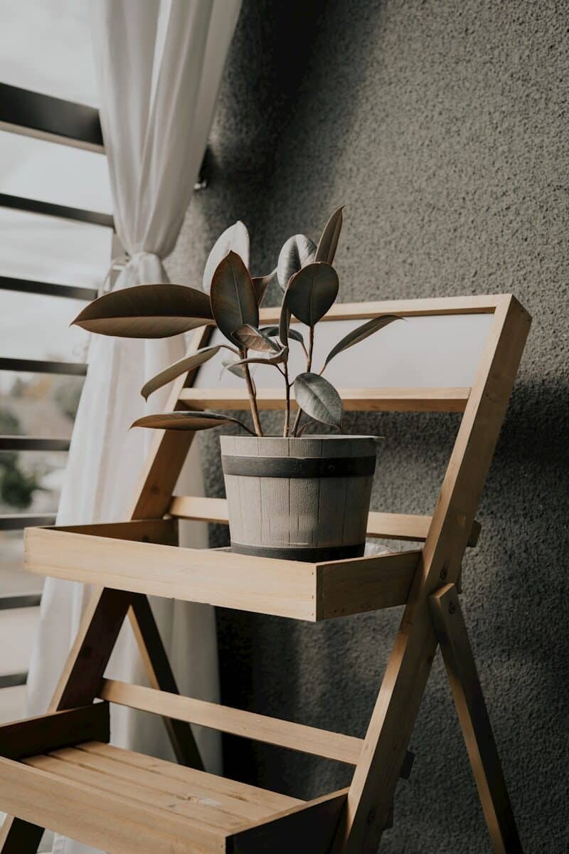 a potted plant sitting on top of a wooden shelf