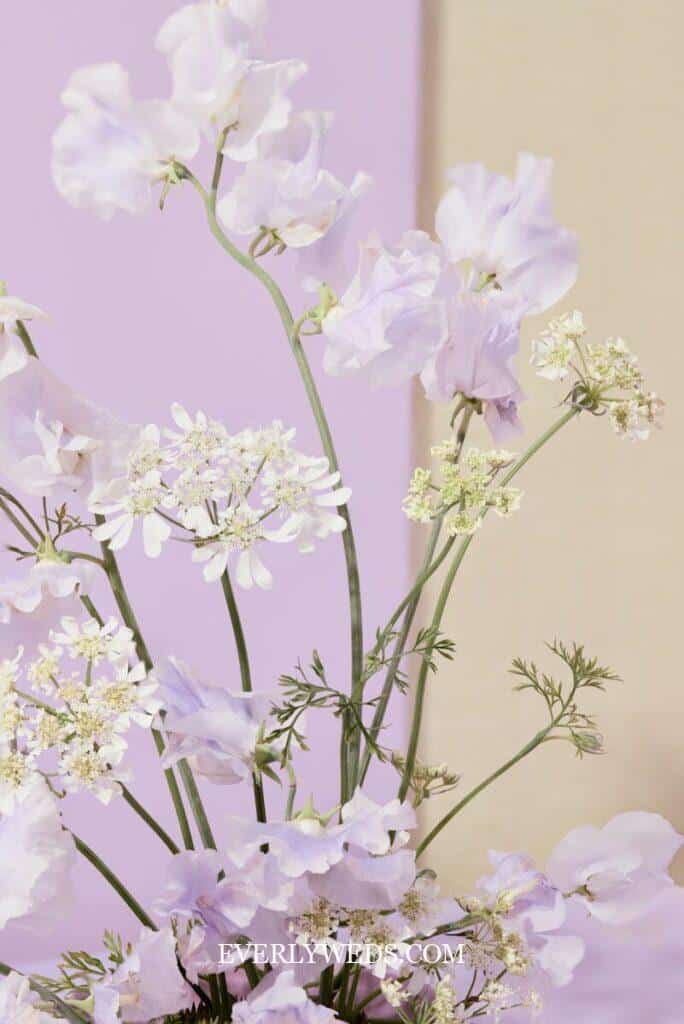 A close-up of a floral arrangement with delicate light purple sweet pea flowers and small white wildflowers, set against a soft purple and beige background.