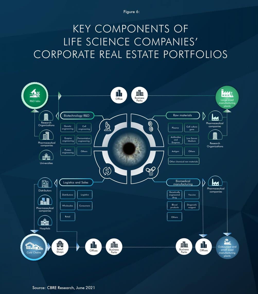 Life Sciences Sector Contributes To Office Space Demand: CBRE