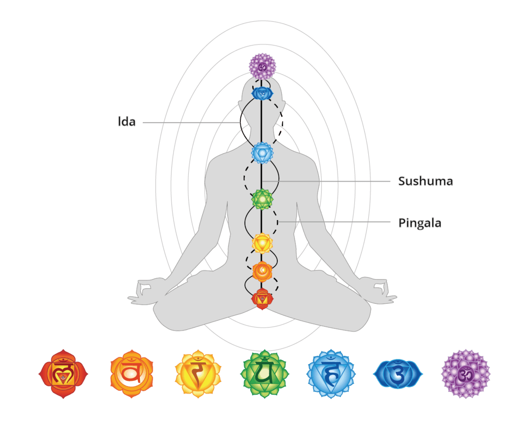 Chakras - Fernanda Filippini