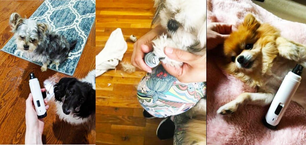 Best Dremel Bit for Dog Nails