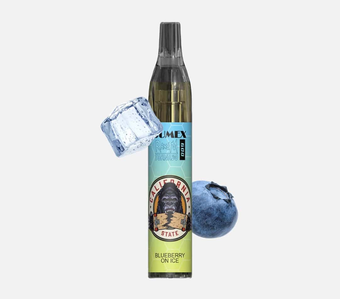 elfbar elfa master akku RandM Tornado kaufen: Vase 600 Einweg Vape