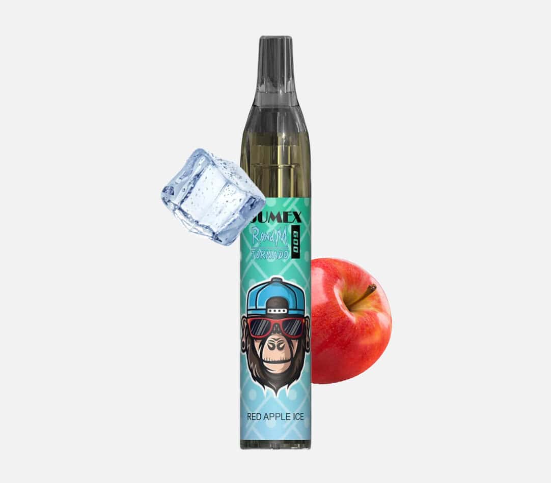 elfbar elfa master akku RandM Tornado kaufen: Vase 600 Einweg Vape main image 0