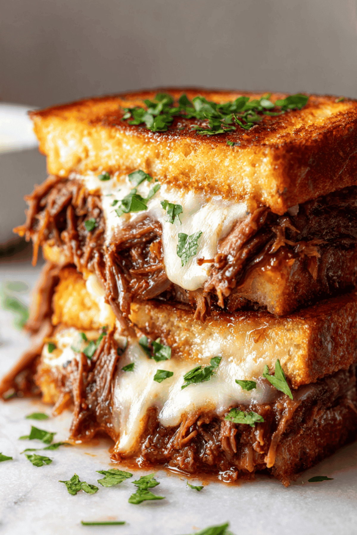 Birria Style Beef Sandwich
