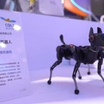 7th Western China International Fair for Investment and Trade (WCIFIT)