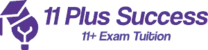 11plussuccess.co.uk