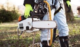 Chainsaw injury fatality statistics