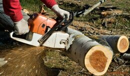 stihl ms380 chainsaw reviews