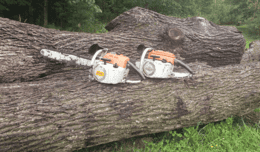 rare stihl 041 AV advert