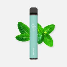 elfbar elfa master akku Spearmint - Elfbar 600 Prefilled Pod Kit main image 0