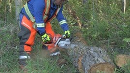 chain saw safety training