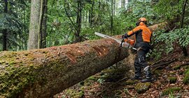 what is the biggest stihl chainsaw