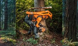 back protecting for tree harvesting