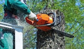 Survey of businesses effected by small gas engine ban