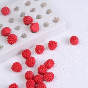 Raspberry Mould