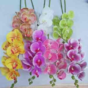 Artificial Orchid