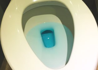 dye test shows water leak from toilet tank to the bowl