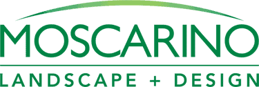 Moscarino Landscape + Design