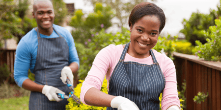 homeowners-association-vs-property-management