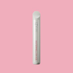 Elfbar 600 Watermelon Einweg Vape mit 20 mg  ab 6,49  kaufen