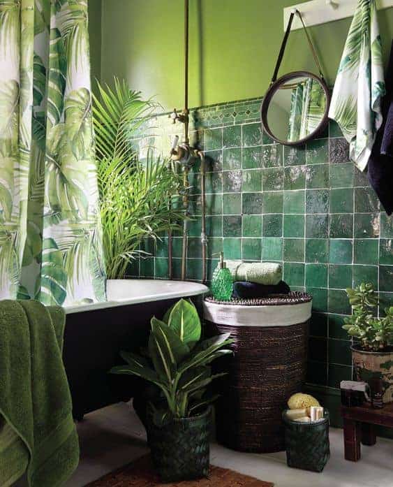1. TROPICAL BATHS