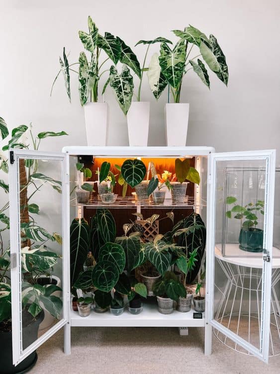 Tricks To Help Your Plants While You're On Vacation Tricks To Help Your Plants While You're On Vacation