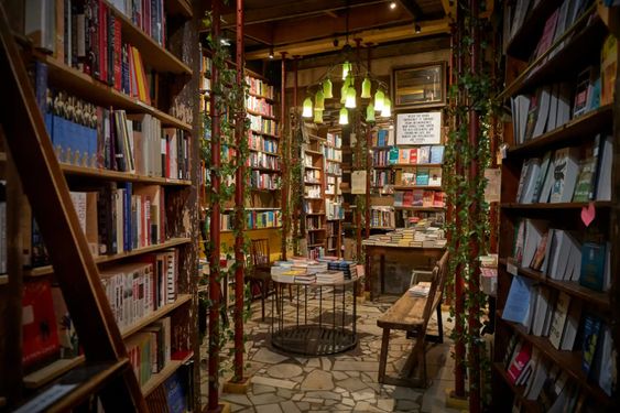 Explore the 5 World's Most Enchanting Bookstores that Ignite Your Imagination