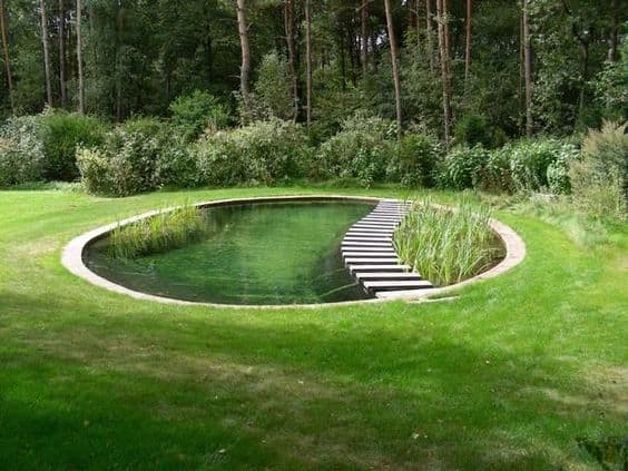 Garden pond: everything you need to know to successfully stage it Garden pond: everything you need to know to successfully stage it