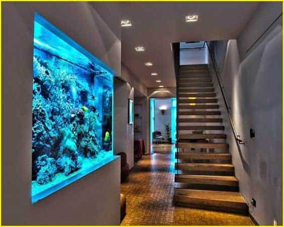 How Home Aquarium Models Bring Nature Indoors