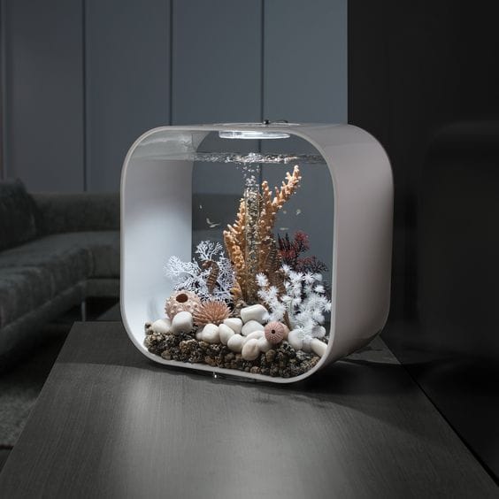 How Home Aquarium Models Bring Nature Indoors