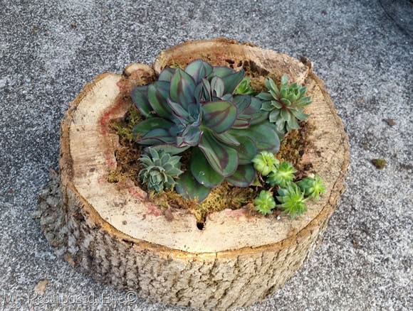 21 Super Easy Wood Log Garden Decorations That You Can Do For Free