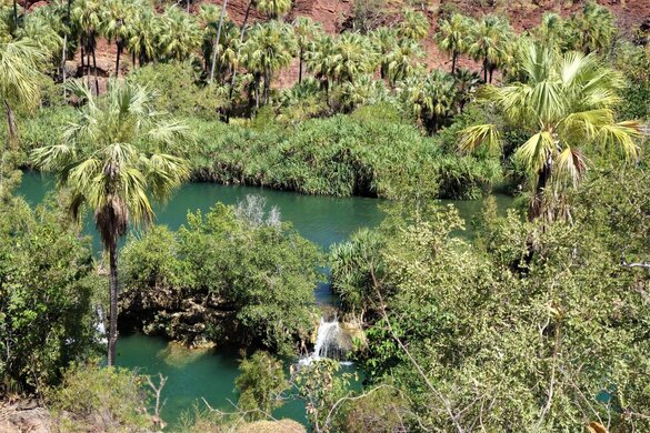 Lawn Hill Gorge in Australien