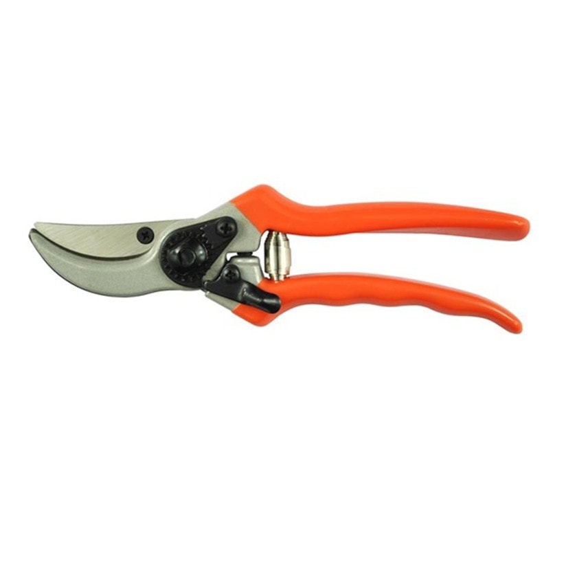Pruning Shears (Dowel Rod Cutter)