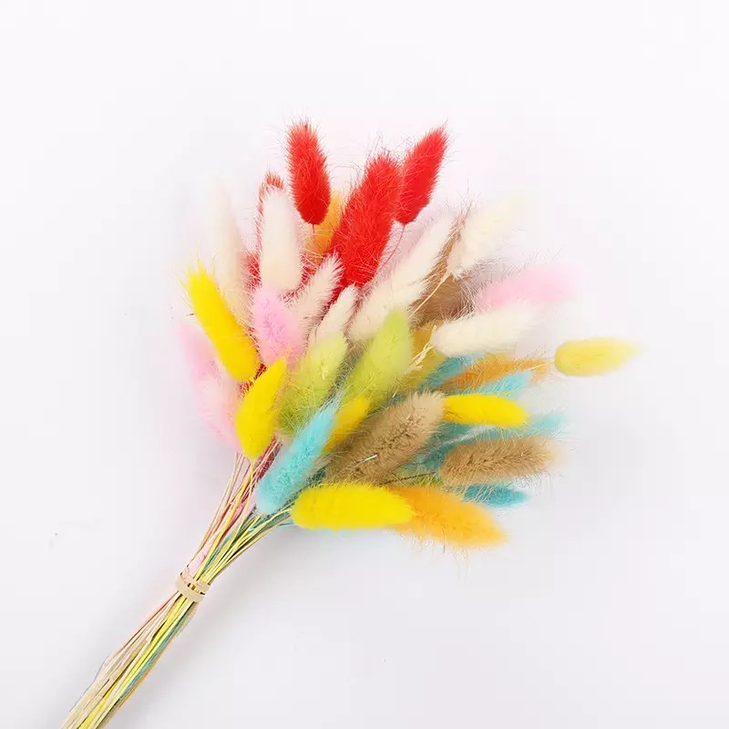 Dried Bunny Tails