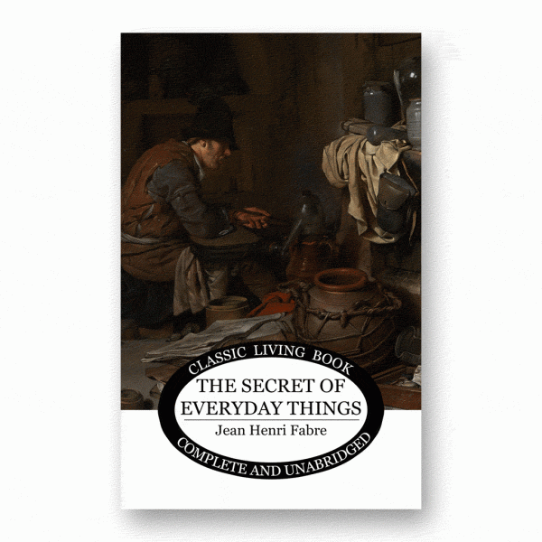 The Secret of Everyday Things