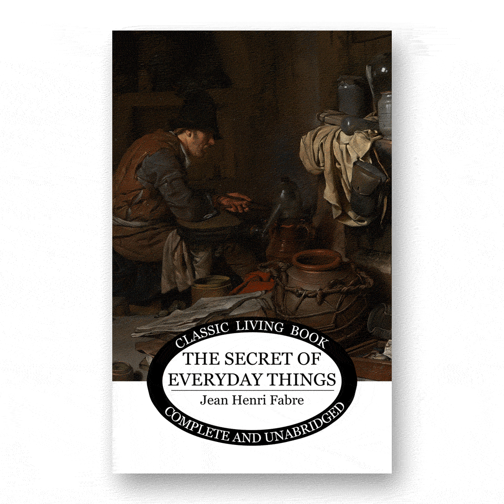 The Secret of Everyday Things