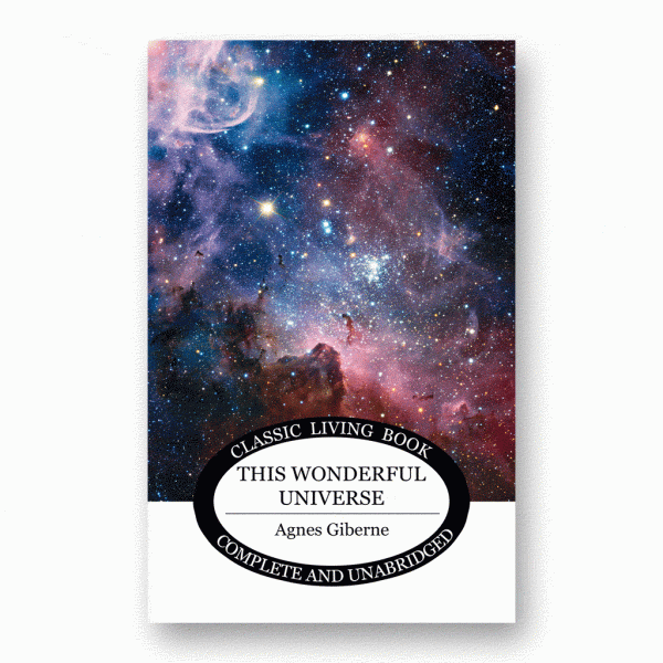 This Wonderful Universe