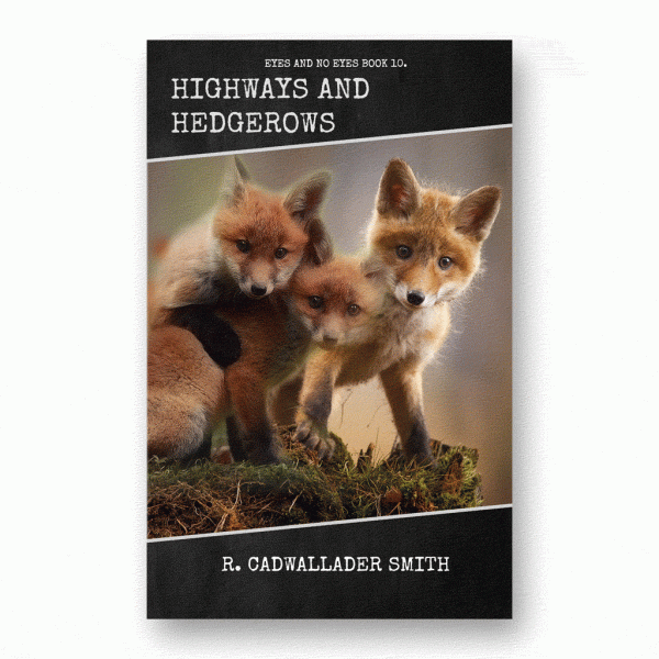 Highways and Hedgerows