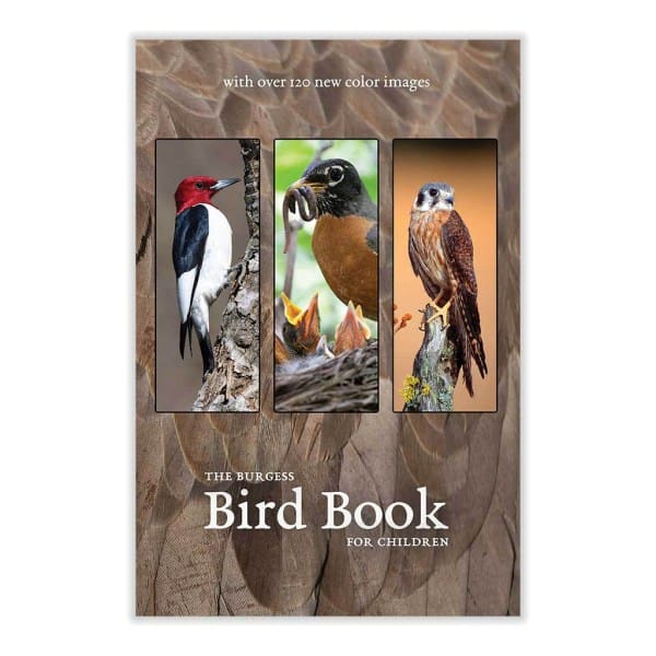 The Burgess Bird book with new images
