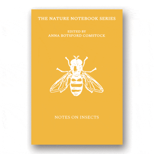 Notes on Insects