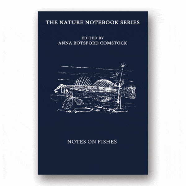 Notes on Fishes