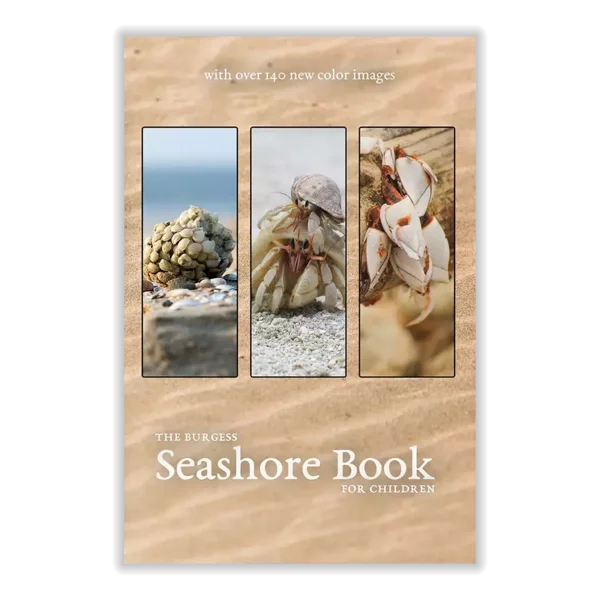The Burgess Seashore book with new images
