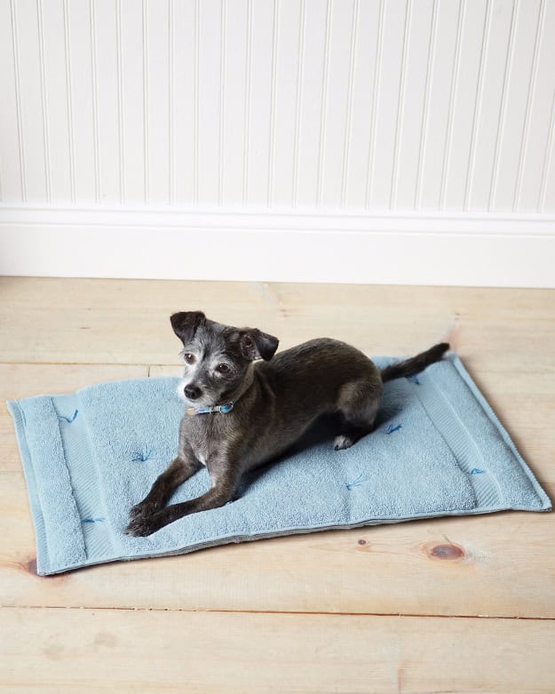 Cozy Travel Cushion For Pets