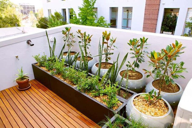 5 Creative Ideas for Small City Gardens