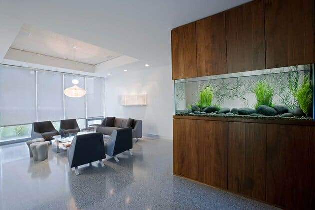 Aquarium Decorations That Are Both Fun For You And Useful For Your Fish