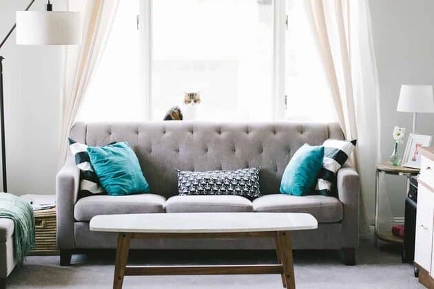 Guide to Choosing Living Room Windows